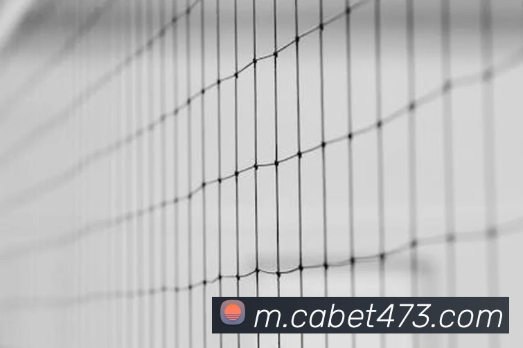 ca亚洲城服务体系